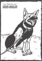 Hund