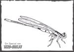 Libelle