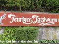 Feuriger Tatzlwurm